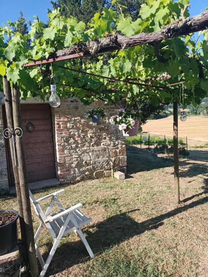 Agriturismo Podere La Selva Villa Serre Di Rapolano Eksteriør billede