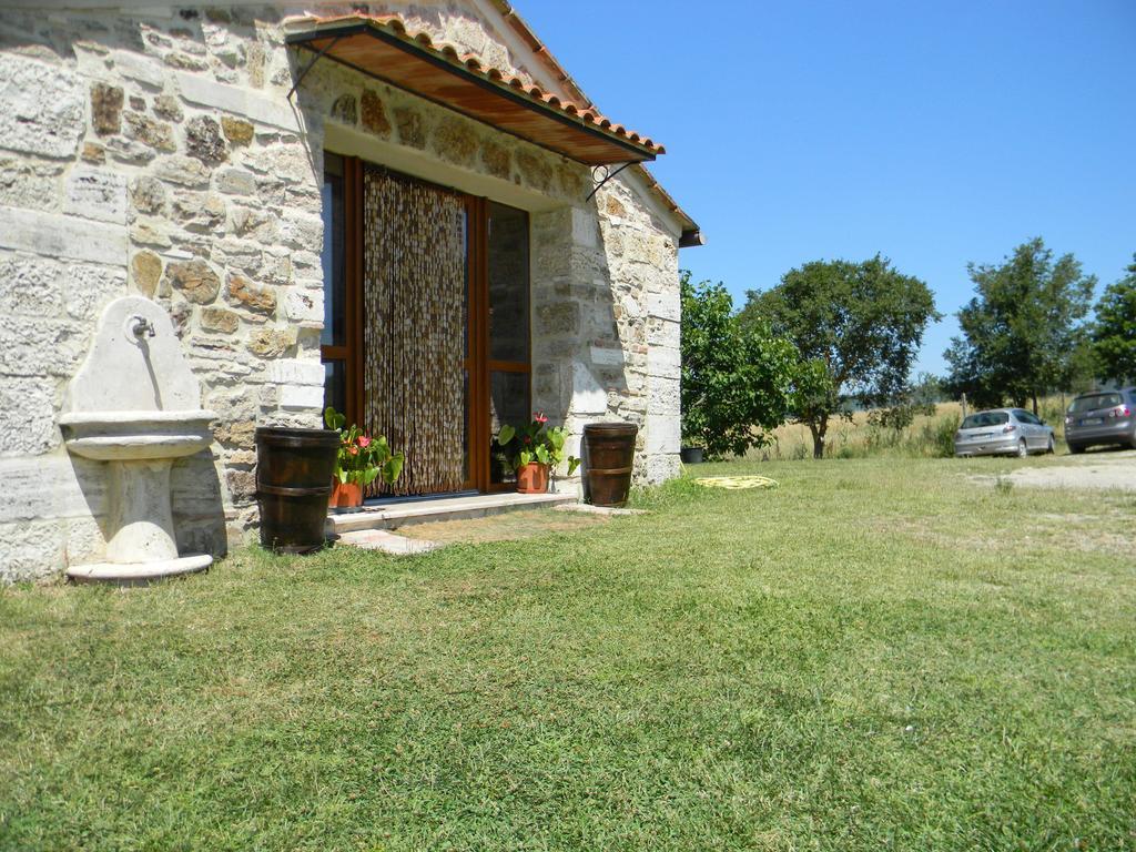 Agriturismo Podere La Selva Villa Serre Di Rapolano Eksteriør billede