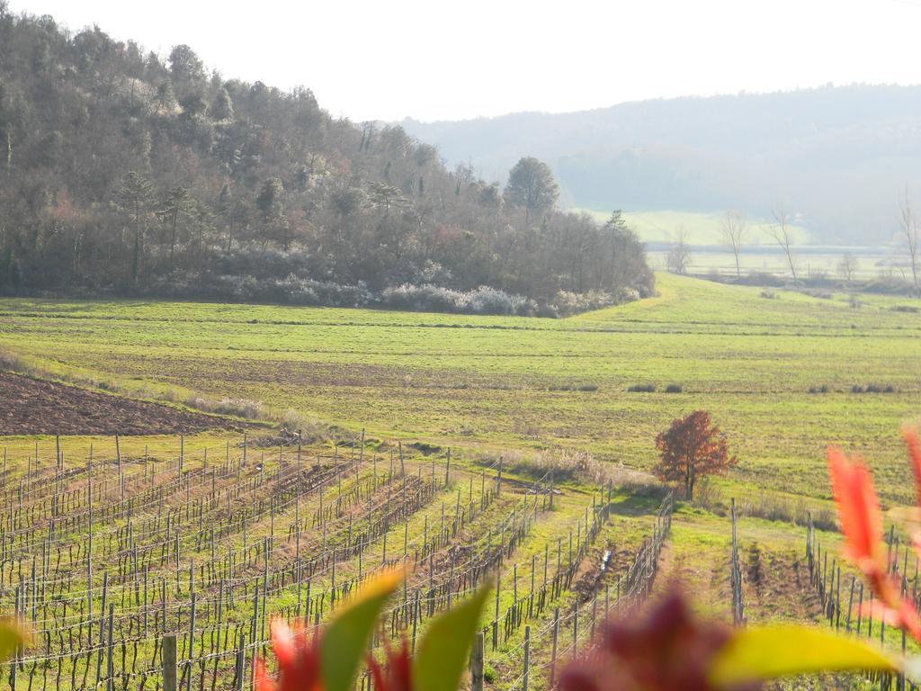 Agriturismo Podere La Selva Villa Serre Di Rapolano Eksteriør billede
