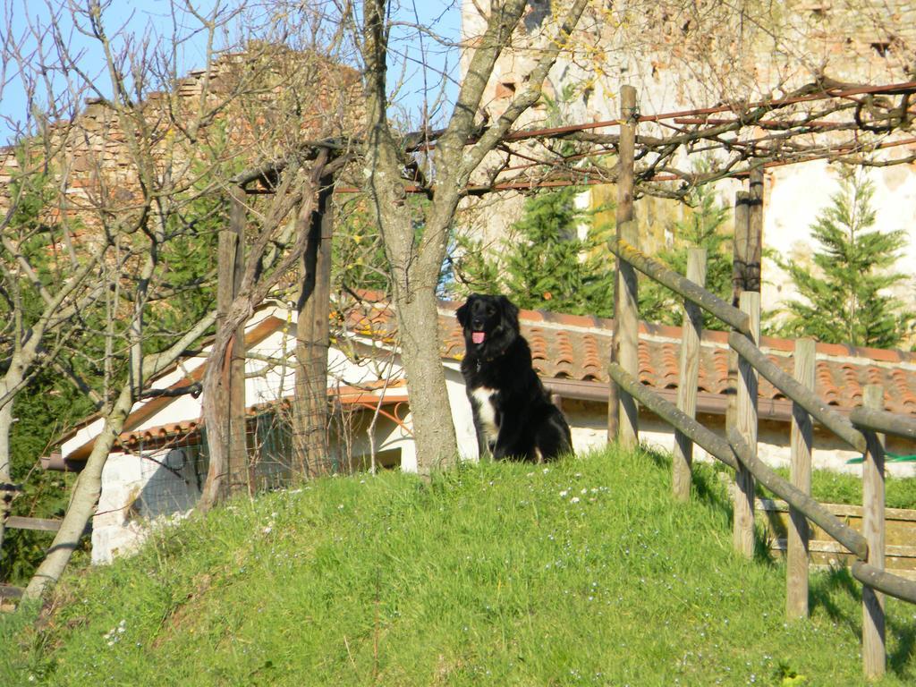 Agriturismo Podere La Selva Villa Serre Di Rapolano Eksteriør billede
