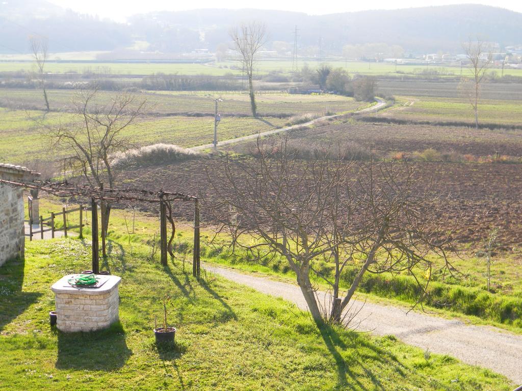 Agriturismo Podere La Selva Villa Serre Di Rapolano Eksteriør billede