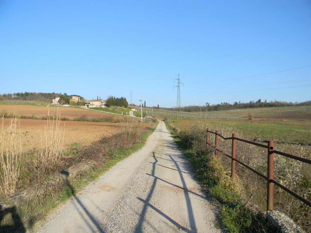 Agriturismo Podere La Selva Villa Serre Di Rapolano Eksteriør billede