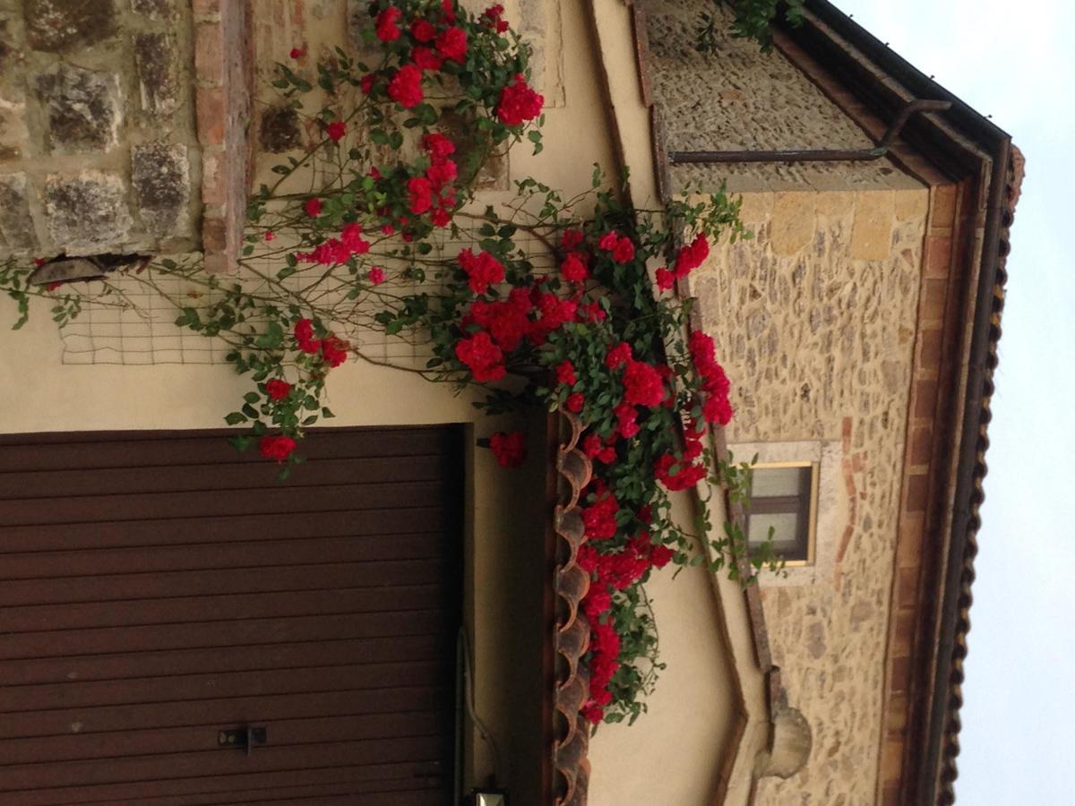 Agriturismo Podere La Selva Villa Serre Di Rapolano Eksteriør billede